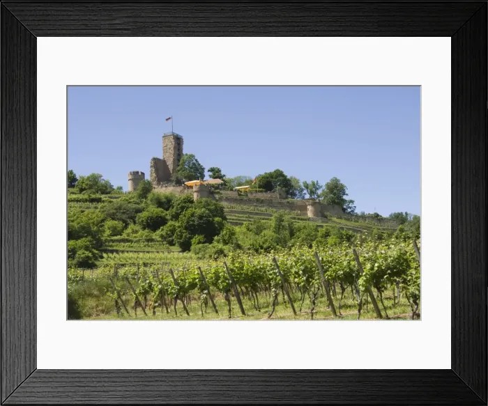 Framed Print : Wachtenburg, Pfalz wine area, Germany, Europe Framed Print : Wachtenburg, Pfalz wine area, Germany, Europe