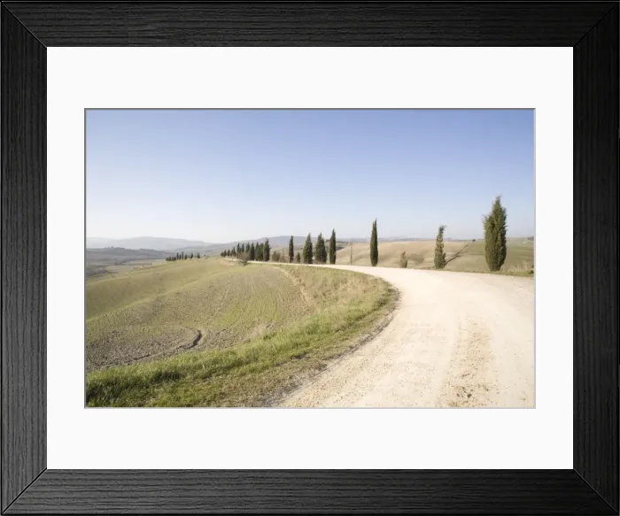 Framed Print : The cypress road near Pienza, Val d Orcia, Tuscany, Italy, Europe Framed Print : The cypress road near Pienza, Val d Orcia, Tuscany, Italy, Europe