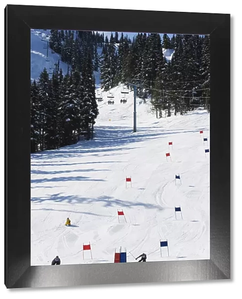 Giant slalom racers at Whistler mountain resort, venue of the 2010 Winter Olympic Games