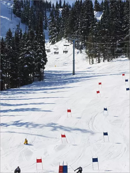 Giant slalom racers at Whistler mountain resort, venue of the 2010 Winter Olympic Games