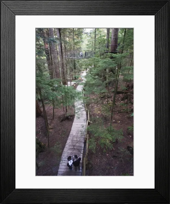 Framed Print : Tourists in Capilano Suspension Bridge and Park, Vancouver, British Columbia Framed Print : Tourists in Capilano Suspension Bridge and Park, Vancouver, British Columbia