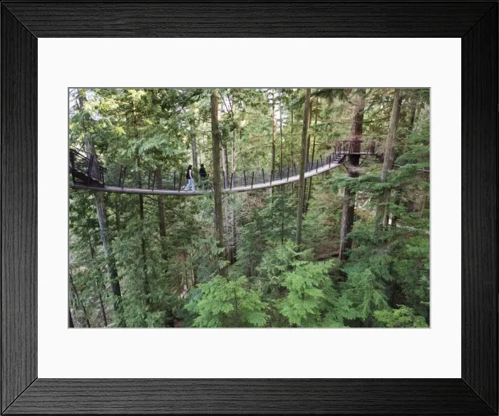 Framed Print : Tourists on a treetop walkway in Capilano Suspension Bridge and Park, Vancouver Framed Print : Tourists on a treetop walkway in Capilano Suspension Bridge and Park, Vancouver
