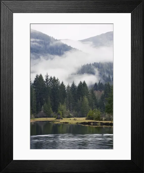 Framed Print : Morning mist at Port Renfrew, Vancouver Island, British Columbia, Canada, North America Framed Print : Morning mist at Port Renfrew, Vancouver Island, British Columbia, Canada, North America