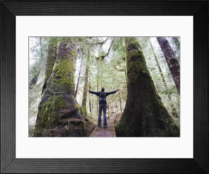 Framed Print : A hiker in the old growth forest at Carmanah Walbran Provincial Park, Vancouver Island Framed Print : A hiker in the old growth forest at Carmanah Walbran Provincial Park, Vancouver Island