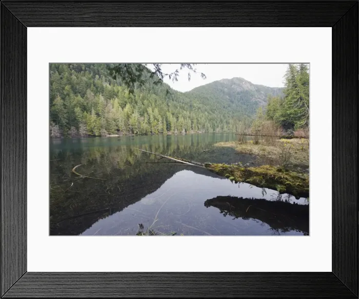 Framed Print : A lake at MacMillan Provincial Park, Vancouver Island, British Columbia Framed Print : A lake at MacMillan Provincial Park, Vancouver Island, British Columbia