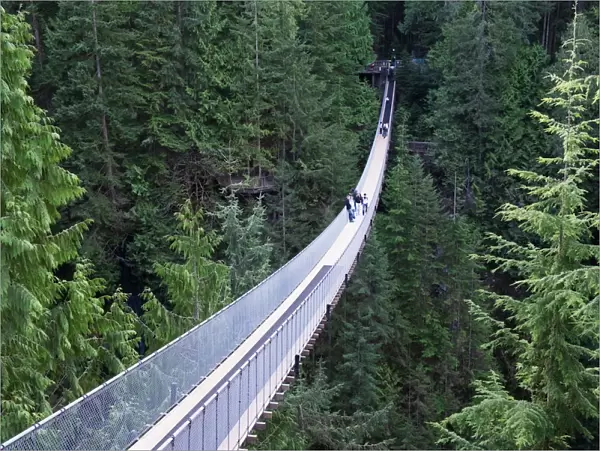 Tourists in Capilano Suspension Bridge and Park, Vancouver, British Columbia
