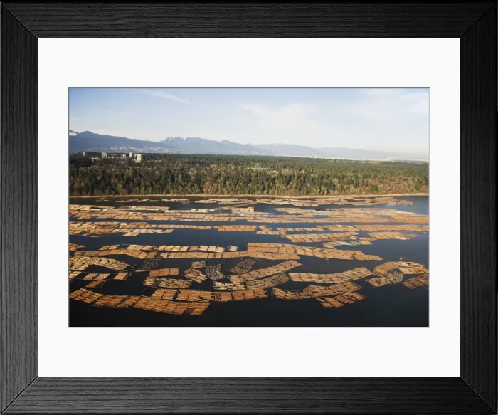 Framed Print : Aerial view of cut logs in the sea waiting to be transported, Vancouver Framed Print : Aerial view of cut logs in the sea waiting to be transported, Vancouver