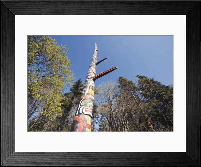 Framed Print : One of the tallest totem poles in Canada, Beacon Hill Park, Victoria, Vancouver Island Framed Print : One of the tallest totem poles in Canada, Beacon Hill Park, Victoria, Vancouver Island
