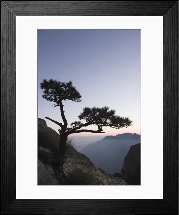 Framed Print : Pine tree silhouetted at dusk on Lushan mountain, UNESCO World Heritage Site Framed Print : Pine tree silhouetted at dusk on Lushan mountain, UNESCO World Heritage Site