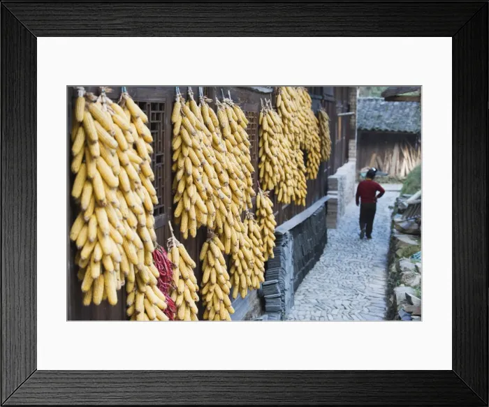 Framed Print : Corn decorating a house in Langde village, Guizhou Province, China, Asia Framed Print : Corn decorating a house in Langde village, Guizhou Province, China, Asia