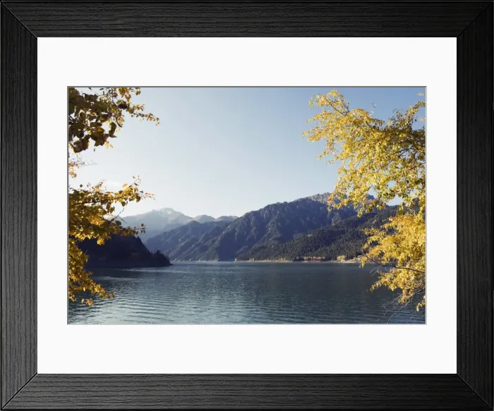 Framed Print : Autumn leaves at Tian Chi (Heaven Lake), Xinjiang Province, China, Asia Framed Print : Autumn leaves at Tian Chi (Heaven Lake), Xinjiang Province, China, Asia