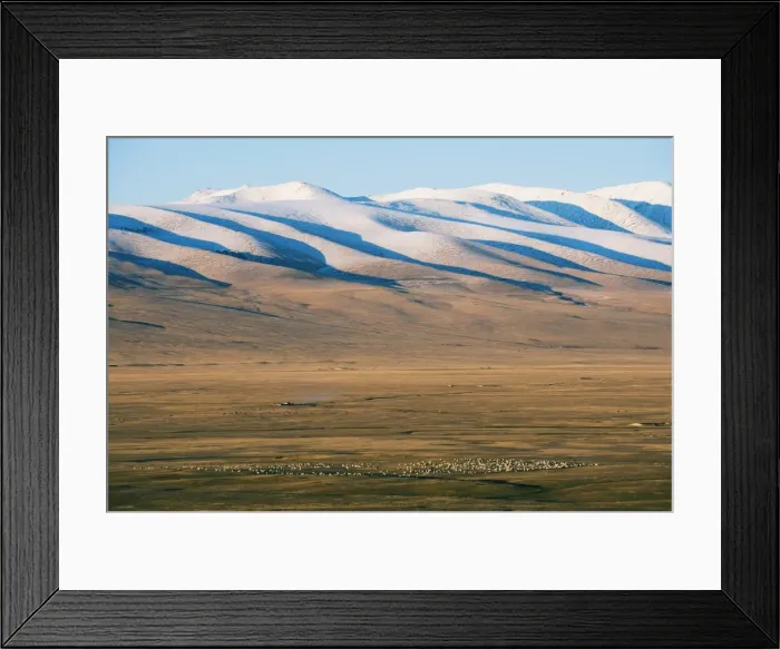 Framed Print : Sheep grazing on the plains in Bayanbulak, Xinjiang Province, China, Asia Framed Print : Sheep grazing on the plains in Bayanbulak, Xinjiang Province, China, Asia
