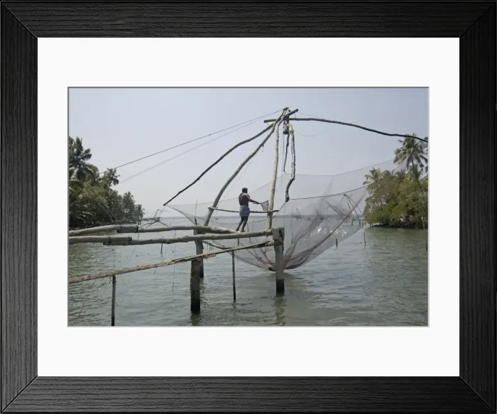 Framed Print : Fisherman working chinese fishing net, Kallancheri, Kochi, Kerala, India, Asia Framed Print : Fisherman working chinese fishing net, Kallancheri, Kochi, Kerala, India, Asia