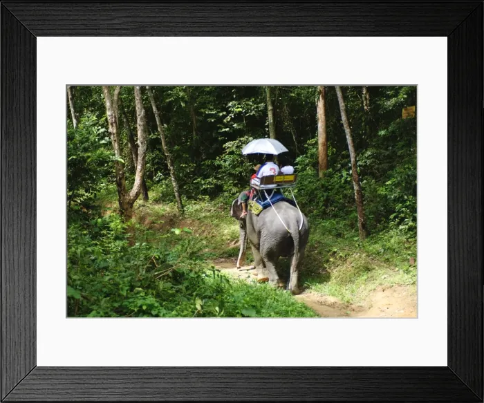 Framed Print : Riding elephants in the Chalong Highlands, Phuket, Thailand, Southeast Asia, Asia Framed Print : Riding elephants in the Chalong Highlands, Phuket, Thailand, Southeast Asia, Asia