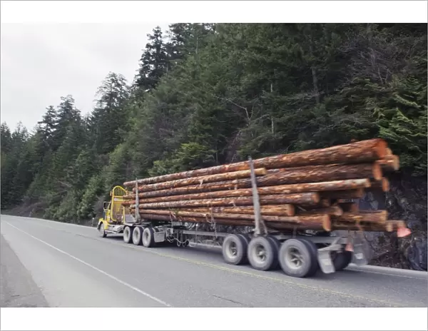 Logging truck in MacMillan Provincial Park, Vancouver Island, British Columbia
