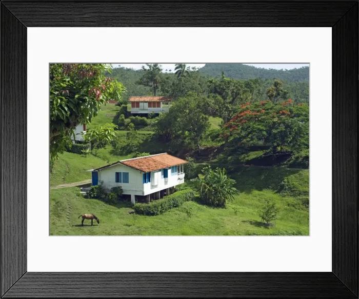 Framed Print : Typical bungalows in the mountain community and tourist centre of Las Terrazas Framed Print : Typical bungalows in the mountain community and tourist centre of Las Terrazas
