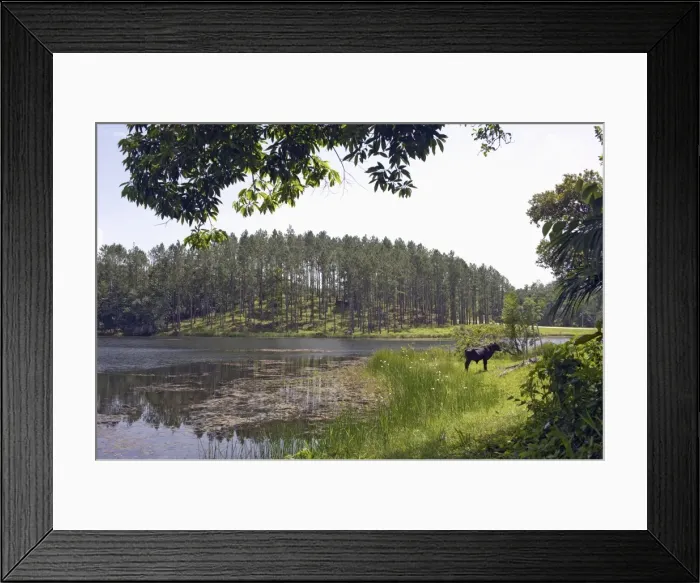 Framed Print : Reservoir in the mountain community and tourist centre of Las Terrazas Framed Print : Reservoir in the mountain community and tourist centre of Las Terrazas