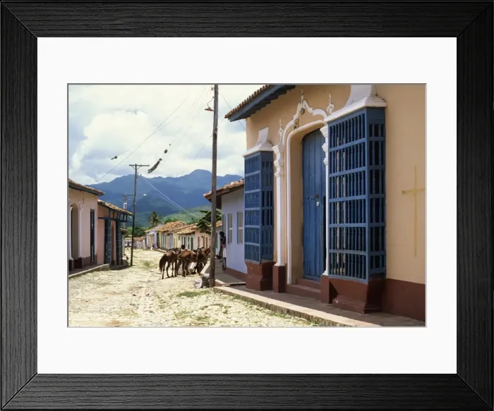 Framed Print : Horses in old town back street, Trinidad, Sancti Spiritus, Cuba, West Indies Framed Print : Horses in old town back street, Trinidad, Sancti Spiritus, Cuba, West Indies