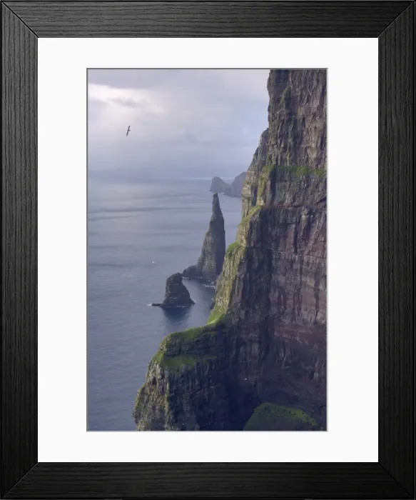 Framed Print : Spectacular 300-400m high cliffs on west coast of Sandoy, Oknadalsdrangur sea stack in foreground Framed Print : Spectacular 300-400m high cliffs on west coast of Sandoy, Oknadalsdrangur sea stack in foreground