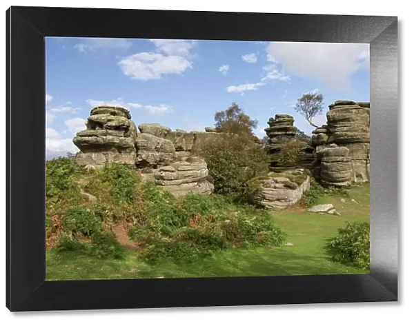 Brimham Rocks, Brimham Moor, near Ripon, North Yorkshire, England, United Kingdom, Europe