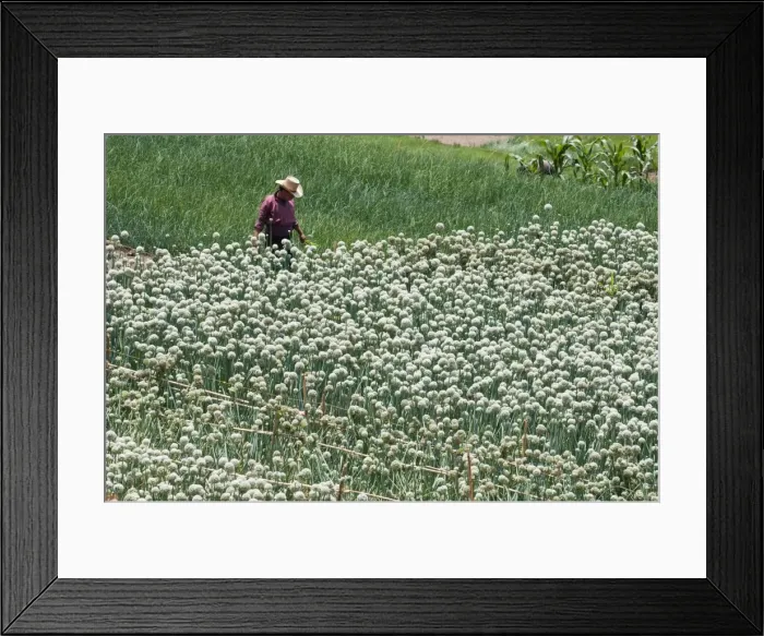 Framed Print : San Antonio Palopo, Lake Atitlan, Guatemala, Central America