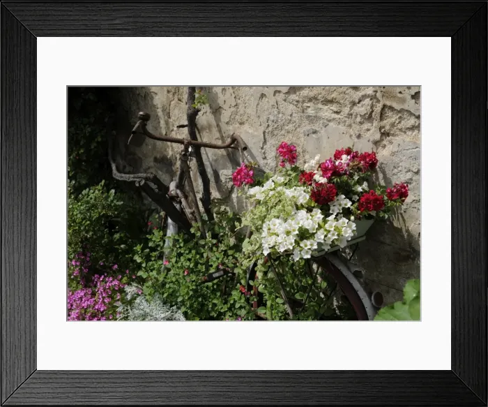 Framed Print : Bicycle decorated with flowers, Brantome, Dordogne, France, Europe