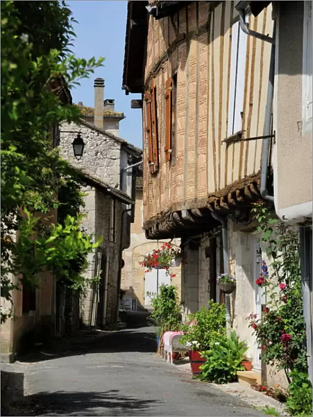 Street of medieval houses, Issigeac, Dordogne, France, Europe
