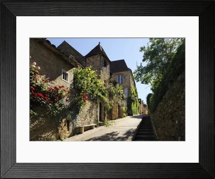Framed Print : Medieval street in the old town, Sarlat, Sarlat le Caneda, Dordogne, France, Europe Framed Print : Medieval street in the old town, Sarlat, Sarlat le Caneda, Dordogne, France, Europe
