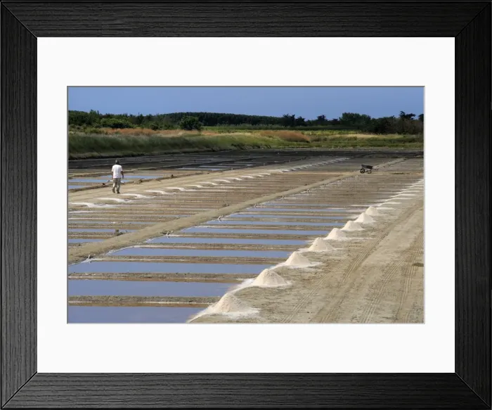 Framed Print : Collecting salt in salt pans, Ars-en-Re, Ile de Re, Charente Maritime, France, Europe Framed Print : Collecting salt in salt pans, Ars-en-Re, Ile de Re, Charente Maritime, France, Europe