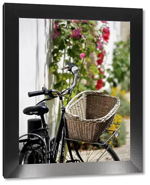 Bicycle with basket and hollyhocks, Ars-en-Re, Ile de Re, Charente-Maritime