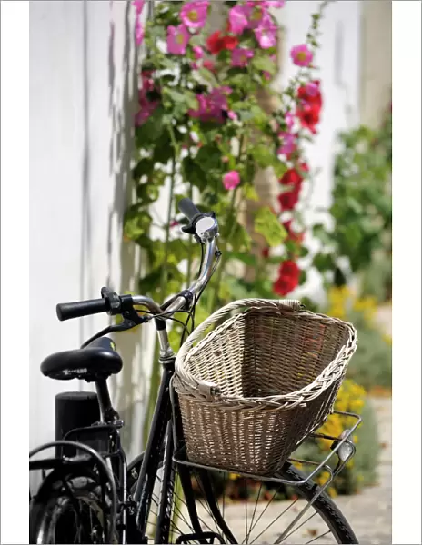 Bicycle with basket and hollyhocks, Ars-en-Re, Ile de Re, Charente-Maritime