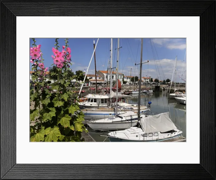 Framed Print : Hollyhocks on the quayside, Ars-en-Re, Ile de Re, Charente Maritime, France, Europe Framed Print : Hollyhocks on the quayside, Ars-en-Re, Ile de Re, Charente Maritime, France, Europe