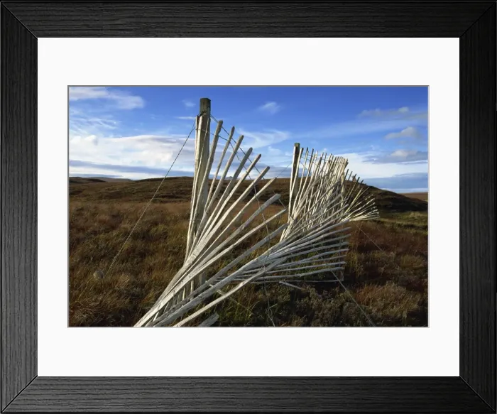 Framed Print : Snow fences and moorland, near Dundonnell, Wester Ross, Highlands, Scotland Framed Print : Snow fences and moorland, near Dundonnell, Wester Ross, Highlands, Scotland