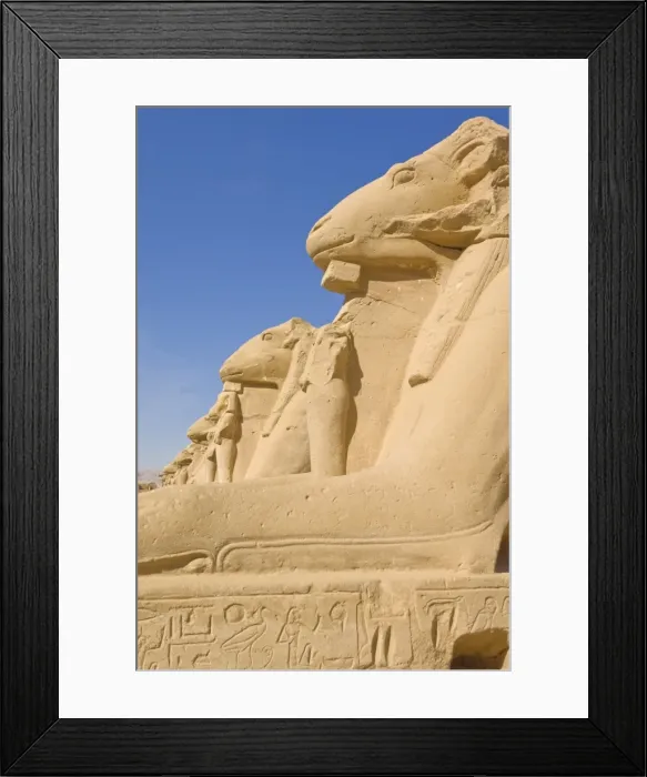 Framed Print : Row of sphinx with ram heads at the great Temple at Karnak, near Luxor Framed Print : Row of sphinx with ram heads at the great Temple at Karnak, near Luxor