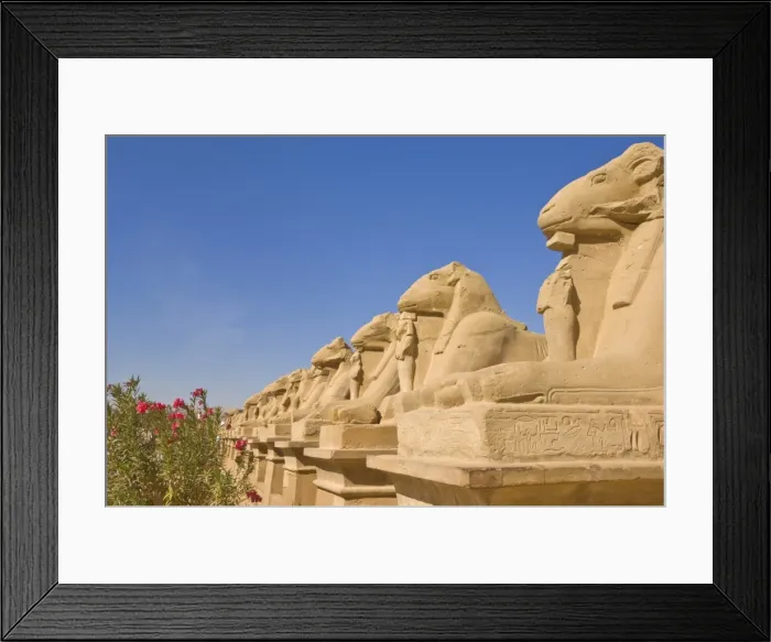 Framed Print : Row of Sphinx with ram heads at the great Temple at Karnak near Luxor, Thebes