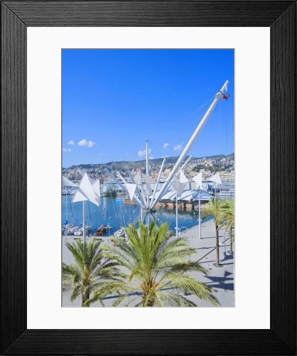 Framed Print : Il Grande Bigo, Porto Antico, Genoa, Liguria, Italy, Europe Framed Print : Il Grande Bigo, Porto Antico, Genoa, Liguria, Italy, Europe