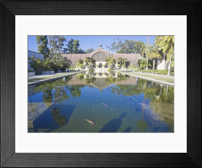 Framed Print : Botanical Building and Reflecting Pool, San Diego, California, United States of America Framed Print : Botanical Building and Reflecting Pool, San Diego, California, United States of America