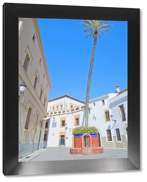 Giant palm tree, old town, Sitges, Costa Dorada, Catalonia, Spain, Europe