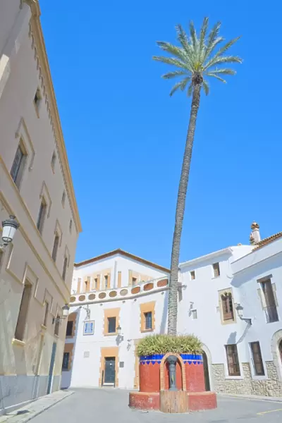 Giant palm tree, old town, Sitges, Costa Dorada, Catalonia, Spain, Europe