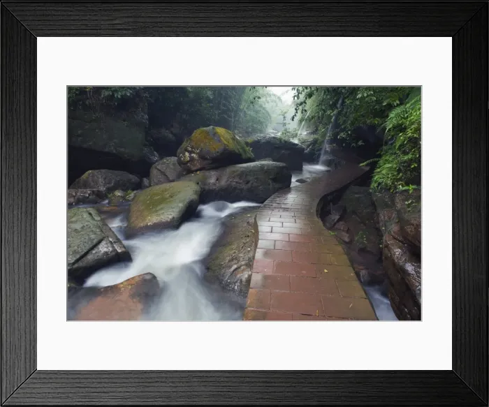 Framed Print : A forest river in the Sidonggou Nature Reserve near Chushui, Guizhou Province Framed Print : A forest river in the Sidonggou Nature Reserve near Chushui, Guizhou Province