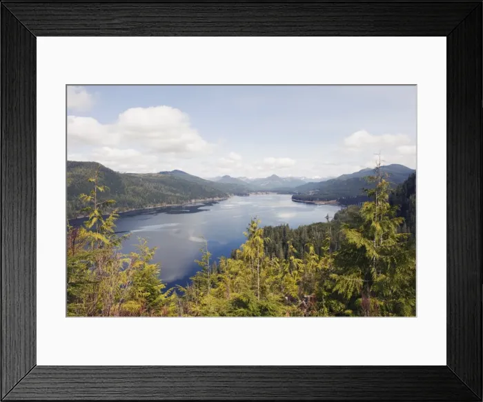 Framed Print : Nitinat Lake, Carmanah Walbran Provincial Park, Vancouver Island, British Columbia Framed Print : Nitinat Lake, Carmanah Walbran Provincial Park, Vancouver Island, British Columbia