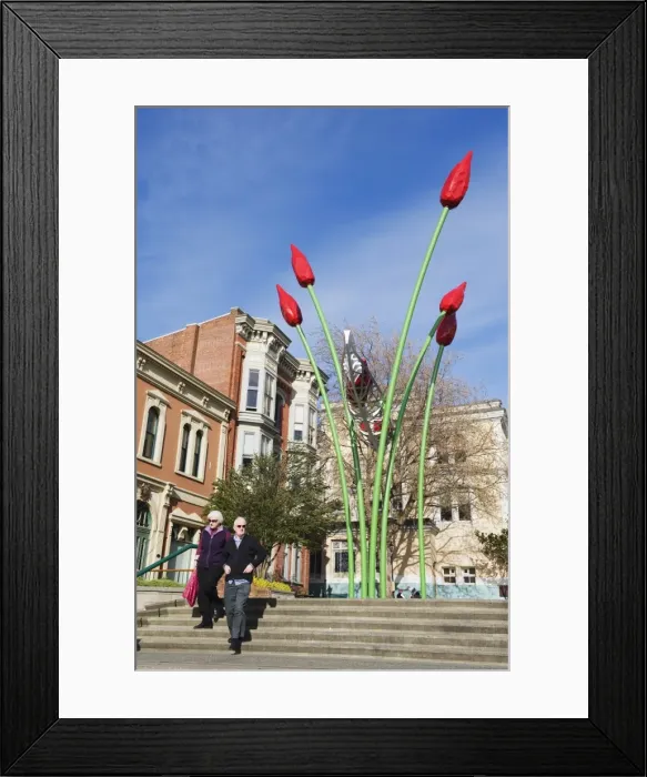 Framed Print : Tourists walking under a flower installation in Bastion Square, Victoria Framed Print : Tourists walking under a flower installation in Bastion Square, Victoria