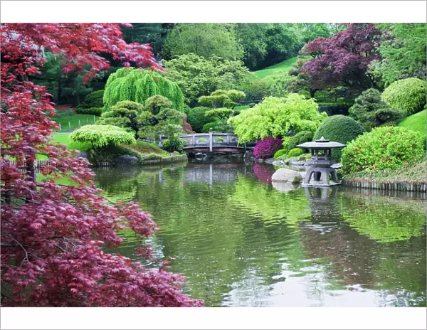 Japanese garden, Brooklyn Botanical Garden, Brooklyn, New York City, New York