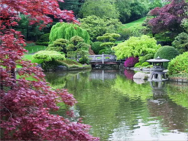 Japanese garden, Brooklyn Botanical Garden, Brooklyn, New York City, New York