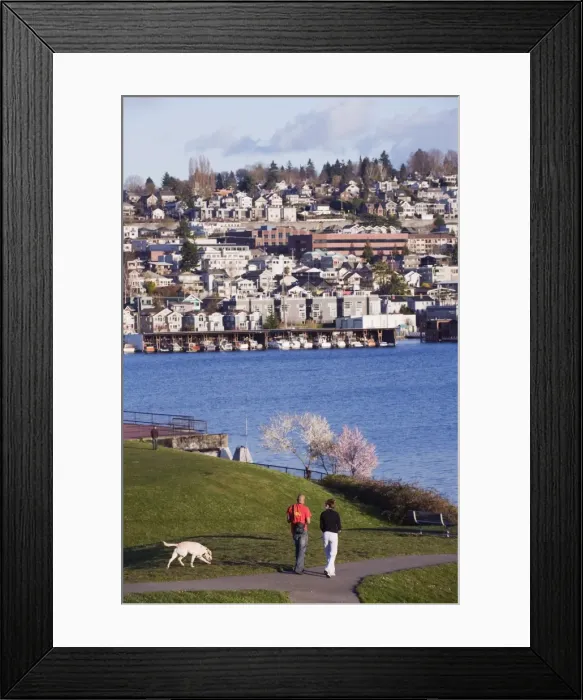 Framed Print : Residential houses on Lake Union from Gas Works Park, Seattle, Washington State Framed Print : Residential houses on Lake Union from Gas Works Park, Seattle, Washington State