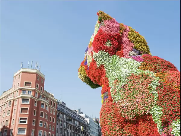 Puppy, the dog flower sculpture by Jeff Koons, Bilbao, Basque country, Spain, Europe