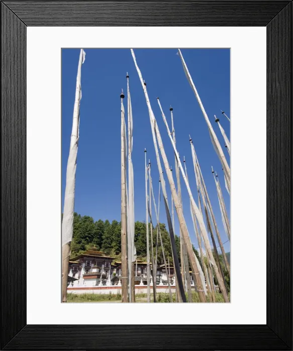 Framed Print : Funeral prayer flags at Kurjey Lhakhang temple built in 1652 by Mingyur Tenpu Framed Print : Funeral prayer flags at Kurjey Lhakhang temple built in 1652 by Mingyur Tenpu