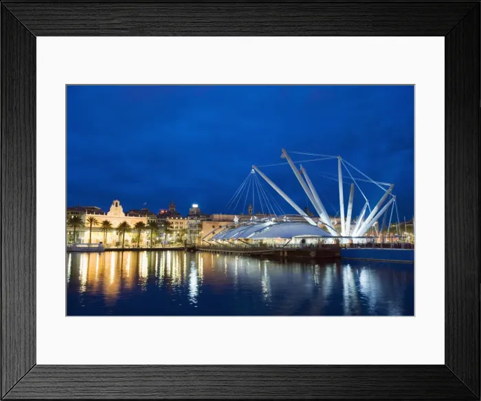Framed Print : The Great Crane by Renzo Piano, Genoa (Genova), Liguria, Italy, Europe Framed Print : The Great Crane by Renzo Piano, Genoa (Genova), Liguria, Italy, Europe