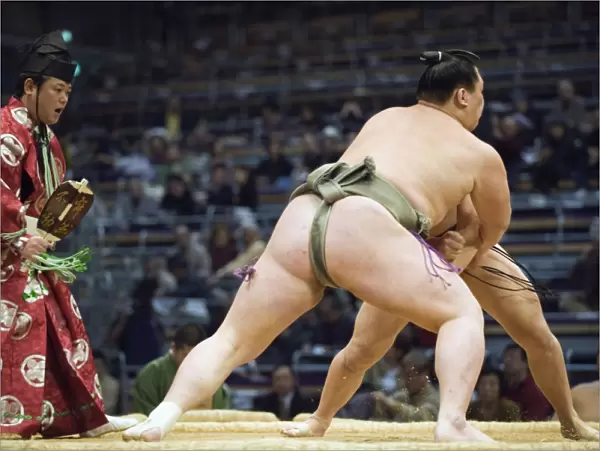 Fukuoka Sumo competition, Kyushu Basho, Fukuoka city, Kyushu, Japan, Asia