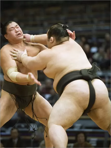 Fukuoka Sumo competition, Kyushu Basho, Fukuoka city, Kyushu, Japan, Asia